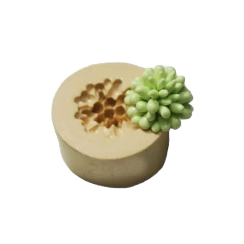 Molde De Silicone Suculenta
