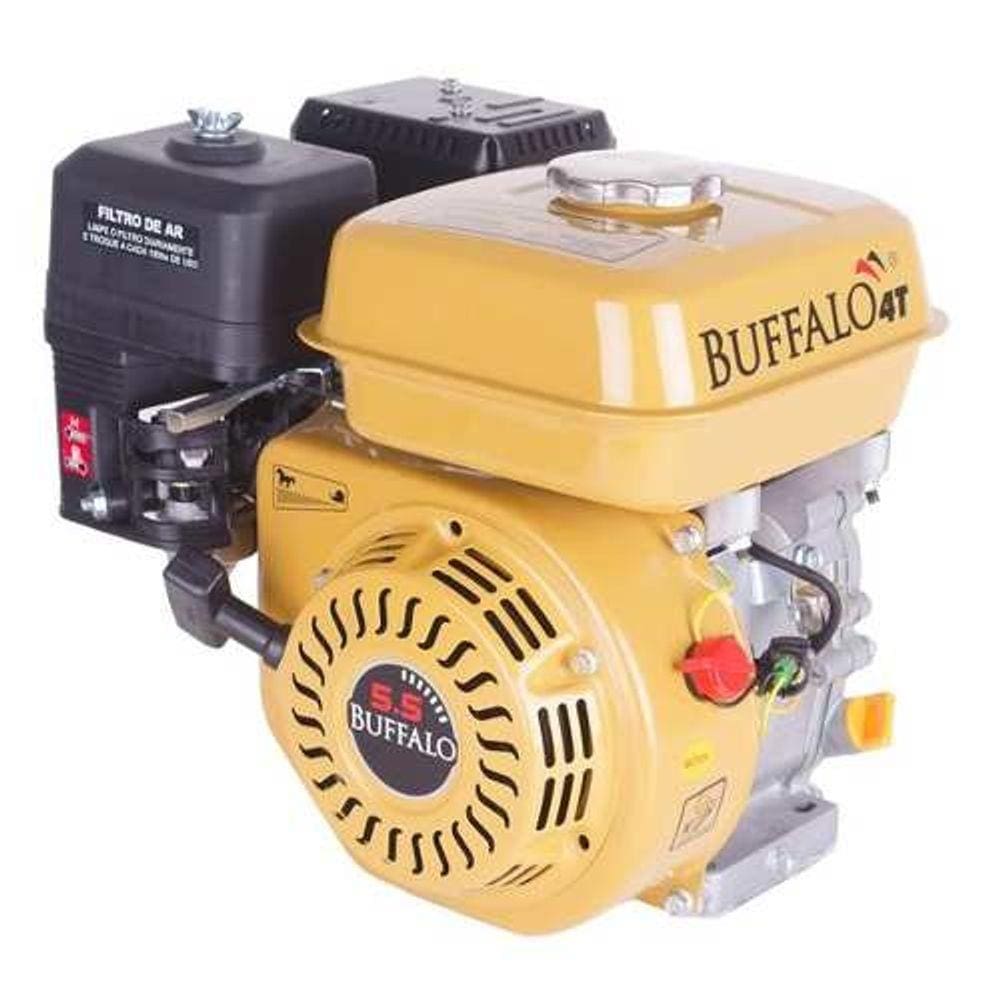 Motor Buffalo Bfg 5.5cv Part. Manual