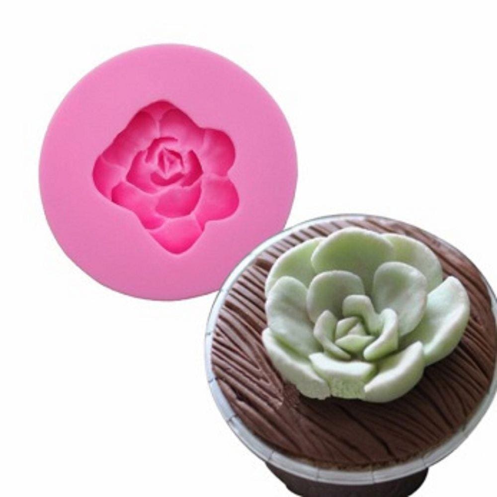 Molde De Silicone Suculenta