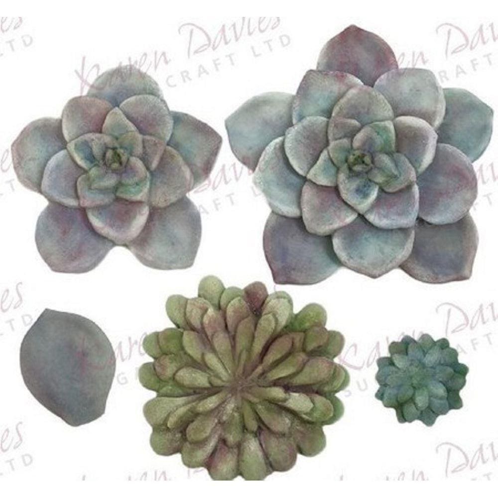 Molde De Silicone Suculenta