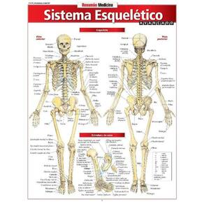 Resumao Medicina - Sistema Esqueletico Avancado