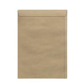 Envelope Kraft Natural Scrity Skn 018 125X176Mm 80Gr Com 250