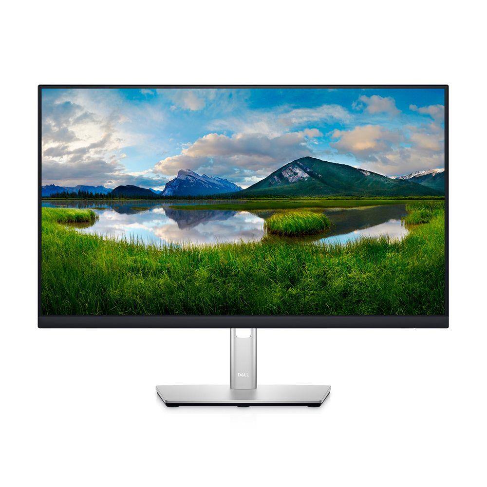 Monitor Dell Full HD P2422H 23,8