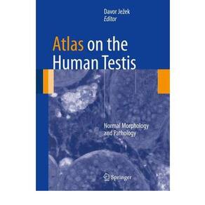 Atlas On The Human Testis: Normal Morphology And Pathology