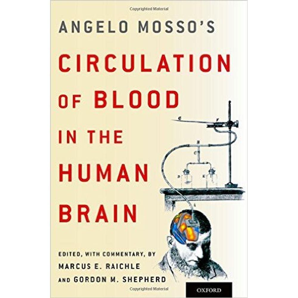 Circulation Of Blood In The Human Brain