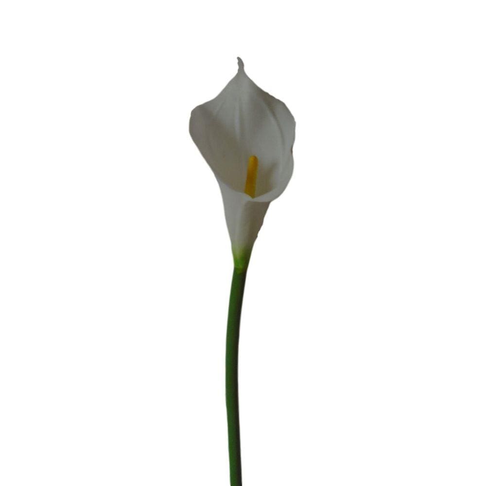 Kit 6 flores artificiais copo de leite branco