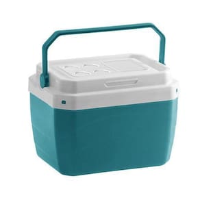 Caixa Termica De Plastico Verde 40L 50,5X41X37Cm