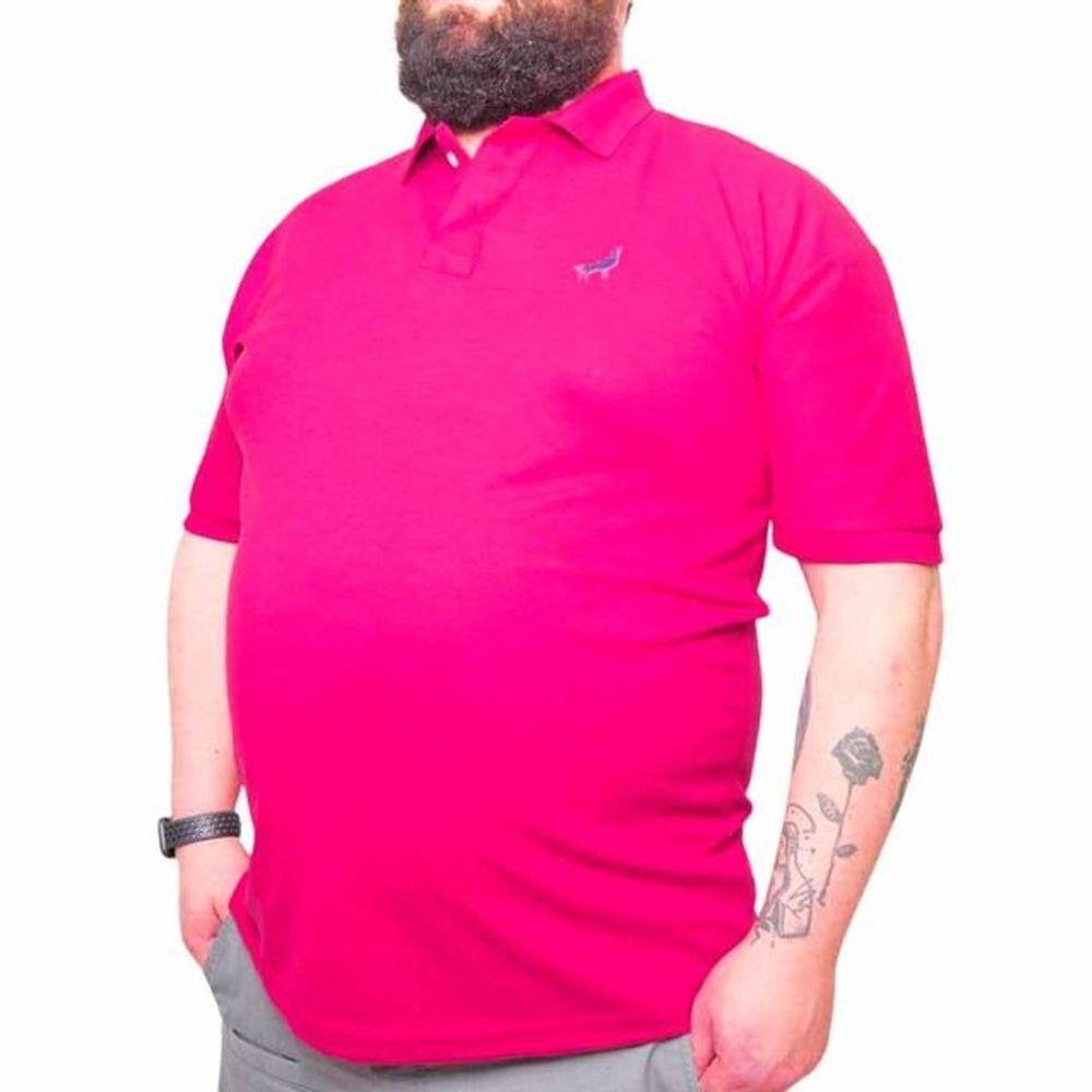 camiseta polo g1