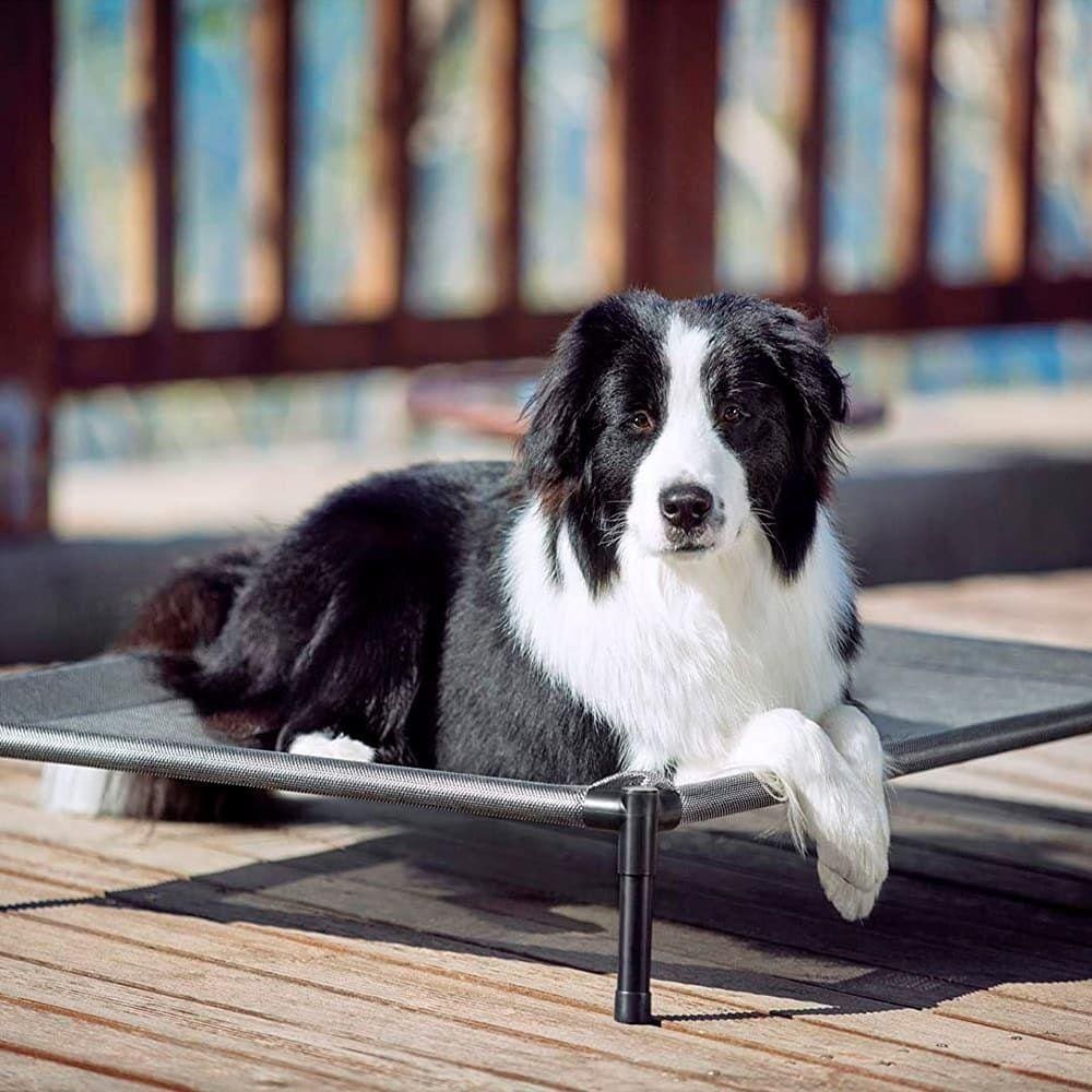 Cama Suspensa Pet Tamanho Gg Para Cães E Gatos