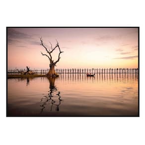 Quadro Decorativo Barcelona Arvore Anoitecer Rx 60X90 Cm