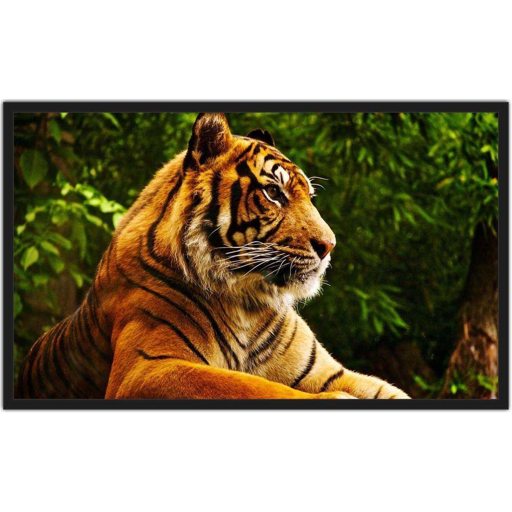 quadro tigre branco casal para decoração 3 peças