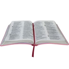 Biblia Slim Rosa Claro Naa