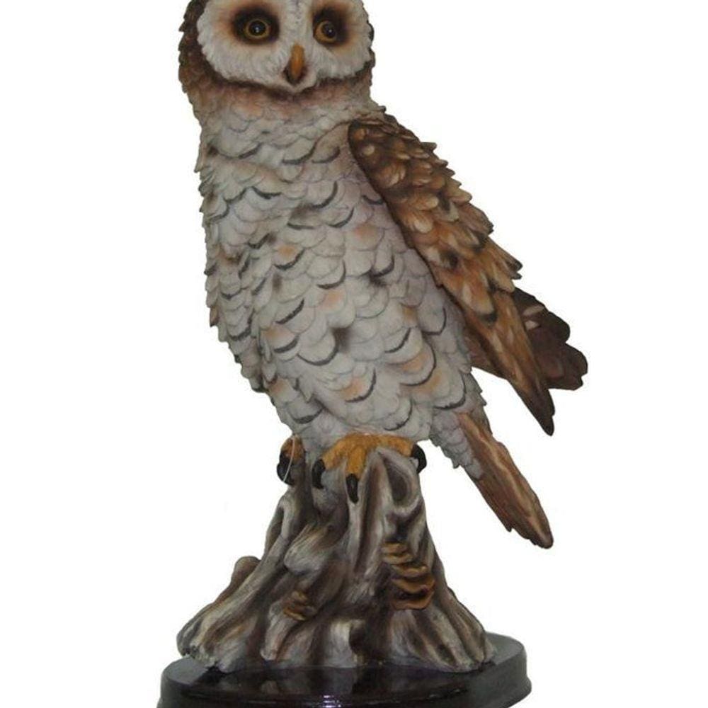 Coruja Decorativa De Resina 18X32Cm