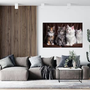 Quadro Decorativo Para Sala Quatro Gatos 90X55Cm