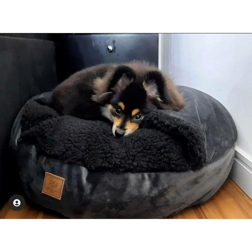 Cama Gigante Cachorros e Gatos Cave Coberta XG 100x100
