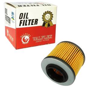 Filtro de Oleo BMW GS 650 / F 650 (valflex)