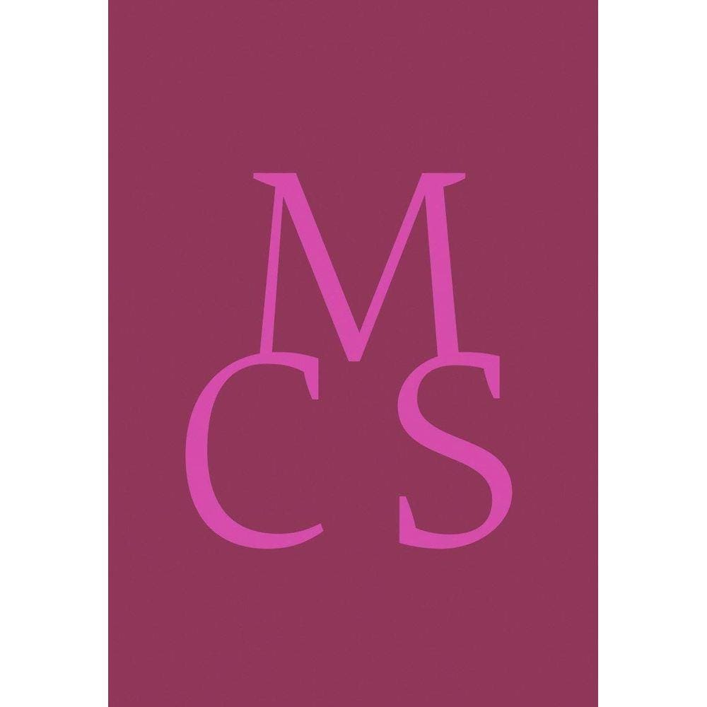 D. Quixote de La Mancha