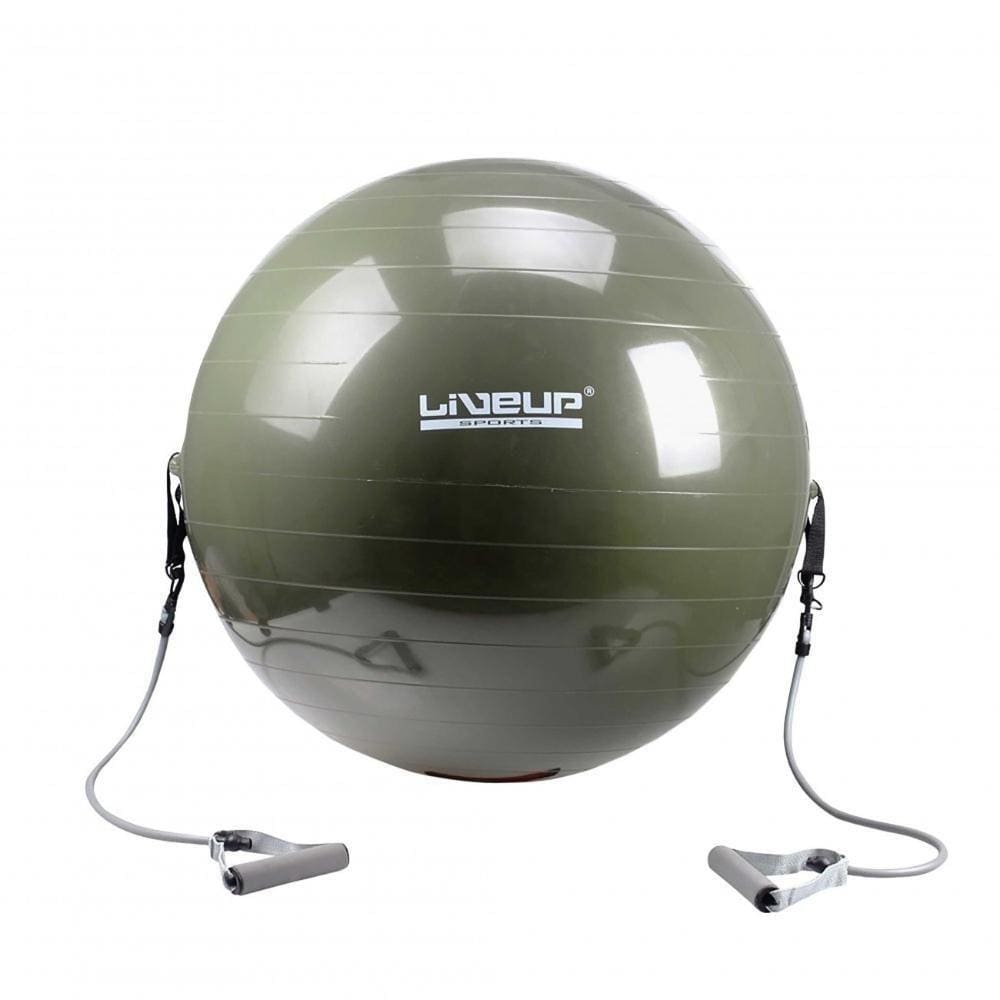 Bola Suiça U 65cm Com Extensores