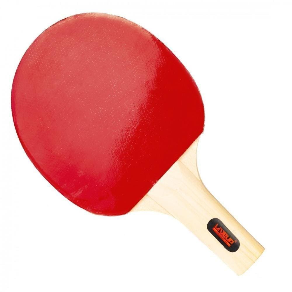 RAQUETE DE PING PONG FR 100