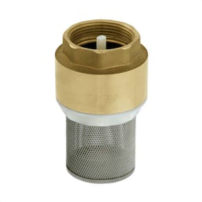 Válvula De Retenção Sucção De 1/2 Filtro Inox Ivm Italy