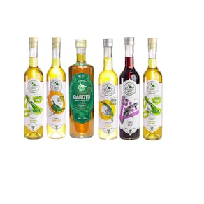 Kit Jambu 700ml + açaí + cupuaçu + bacuri + 2 castanhas