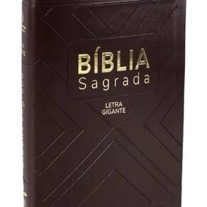 Livro Bíblia Sagrada - Naa - Marrom Com Índice - Média Lgig