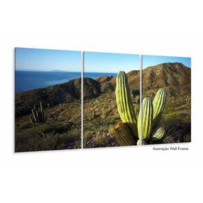Quadros Decorativos Cacto 120x60 3 peças em Tecido