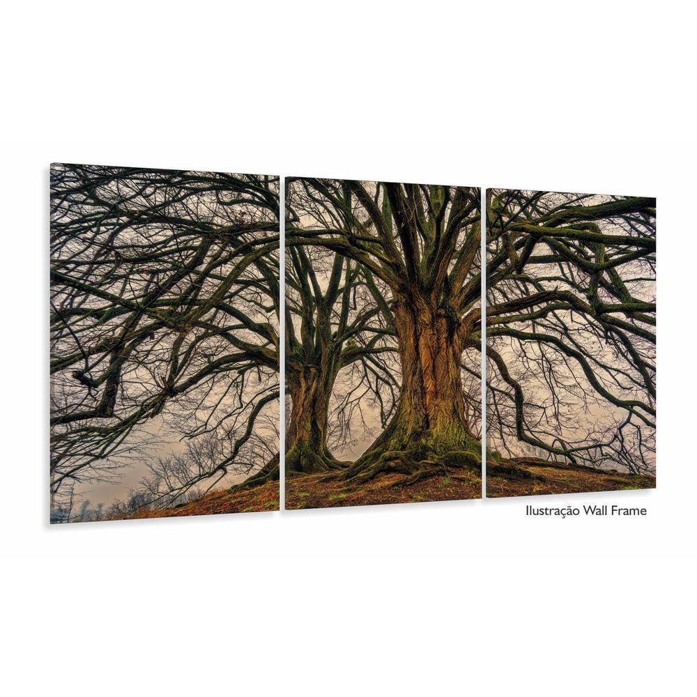 Conjunto Quadros 3 Peças Árvore Raiz decorativo Sala Quarto