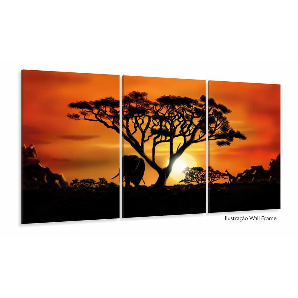 Quadro Decorativo Africa Paisagens Natureza 3 peças