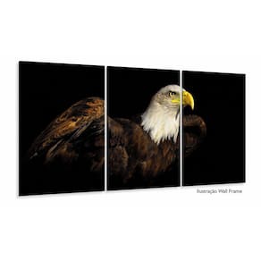 Quadros Decorativos Agui Americana 120x60 3 peças