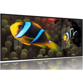 Quadro Decorativo Peixe Palhaço 130x60 Moldura Preta 2x2