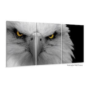 Quadro Decorativo Aguia 120x60 3 peças em tecido