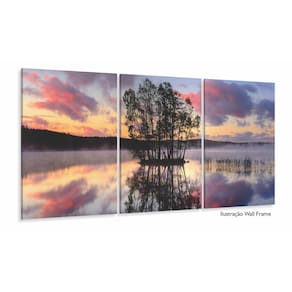 Quadro Decorativo Paisagem Árvore Lago Entardecer