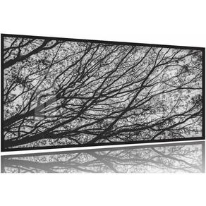 Quadro Galhos Secos Caindo em Preto e Branco 130x60 Moldura Preta 2x2