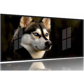 Quadros Decorativos Husky Siberiano 130x60 Moldura Preta 2x2