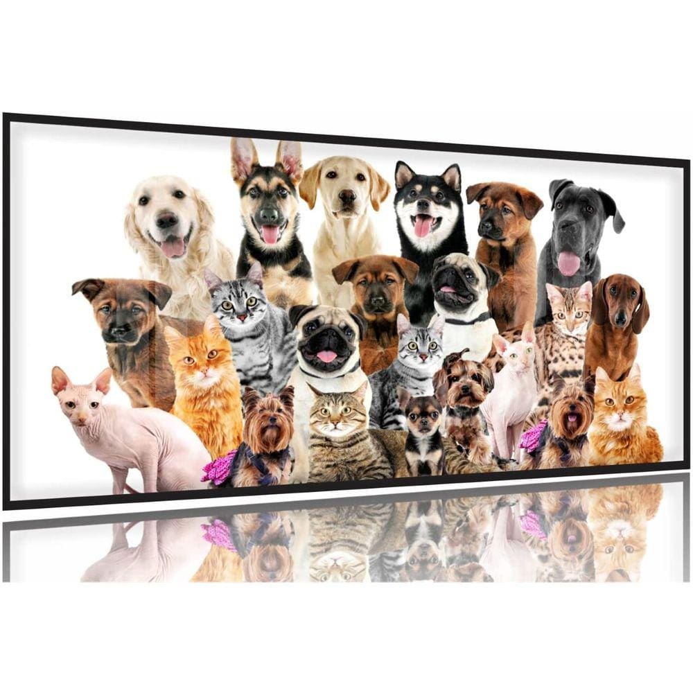 Quadro Decorativo Cães E Gatos Pets Hd 130x60 Moldura Preta 2x2
