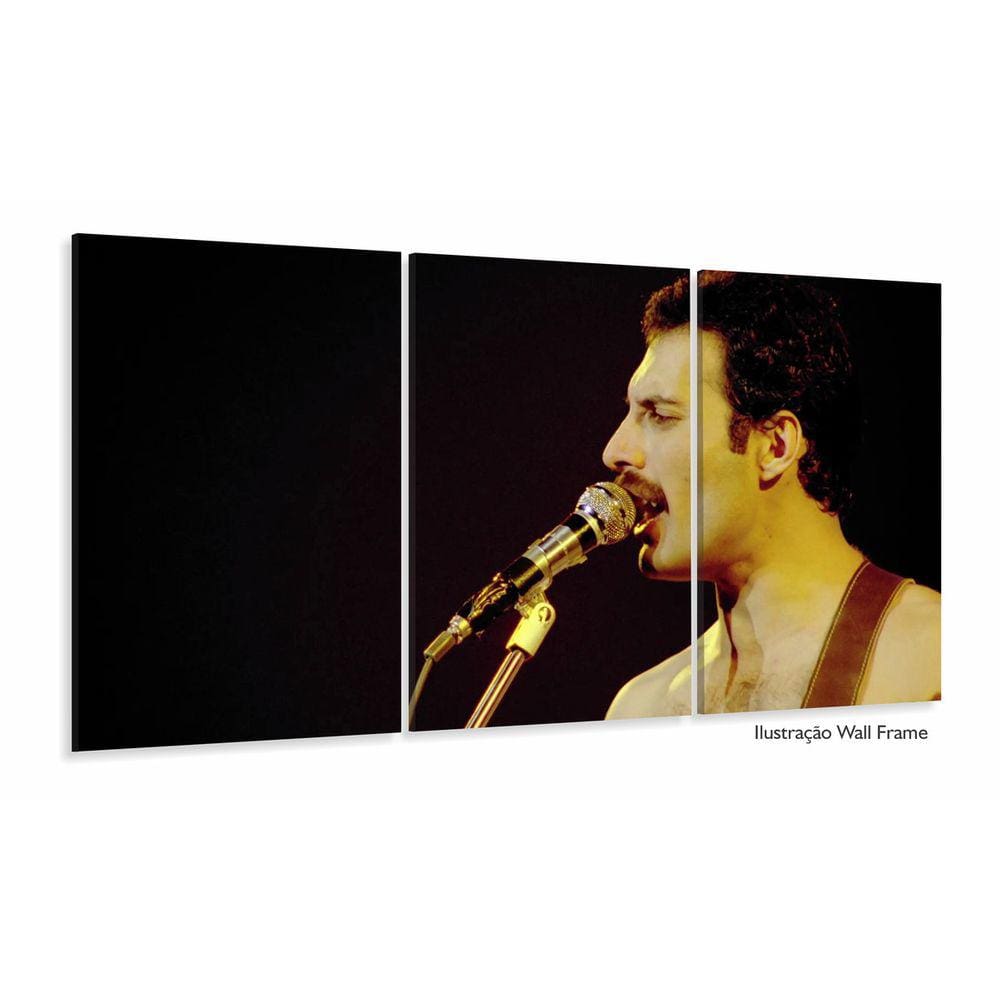 Quadro Decorativo Fred Mercury Queen Em Tecido 3 Peças