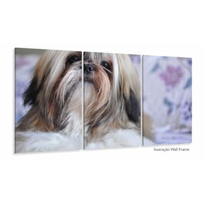 Quadros Decorativos Cachorro Shih-tzu 63x130mt Em Tecido