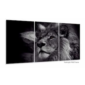 Quadros Decorativos Leão Preto E Branco 120x60 3 peças
