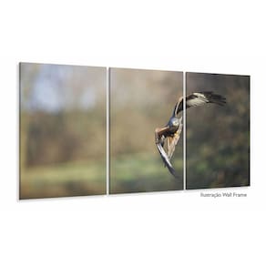 Quadro The Eagle Fly Conjunto 3 Peças Águia para Hall 120x60