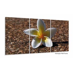 Quadro Flores Paisagem Decorativo Com Tela Em Tecido 120x60