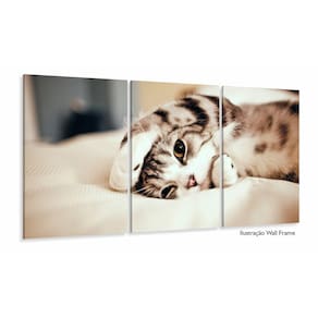 Quadros Decorativos Gato Fofo 3 peças 120x60 cm em Tecido