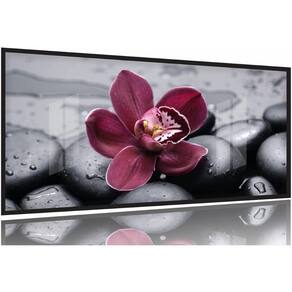 Quadros Decorativos Orquidea Flor Botanico 130x60 Moldura Preta 2x2