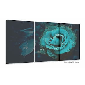 Quadros Decorativos Rosa Tiffany Botanico Sala 120x60 3 peça