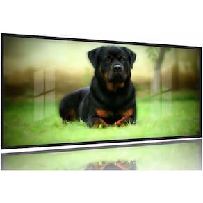 Quadros Decorativos Cachorro Rottweile 130x60 Moldura Preta 2x2