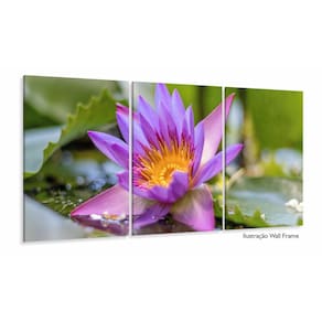 Quadro decorativo Flores - Paisagem Natureza - Tela em Tecid