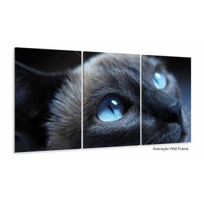 Quadros Decorativos Gato Olho Azul 120x60 3 peças