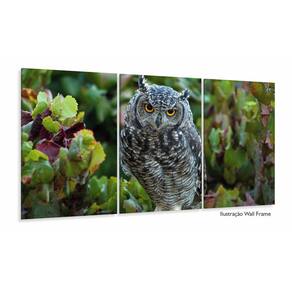 Quadros Decorativos Coruja Linda120x60 3 peças em Tecido