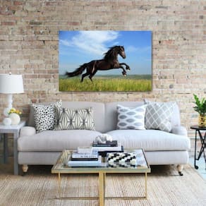 Quadro decorativo Cavalo Preto no Campo Pulando