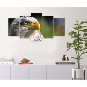 Quadro Decorativo Sala Quarto Escritório Águia Bico Amarelo